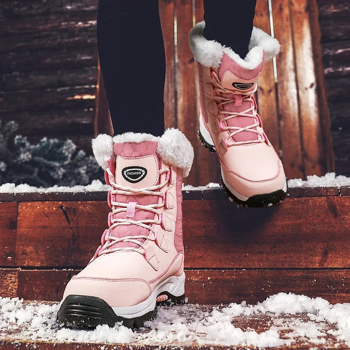 cid:40611041116260