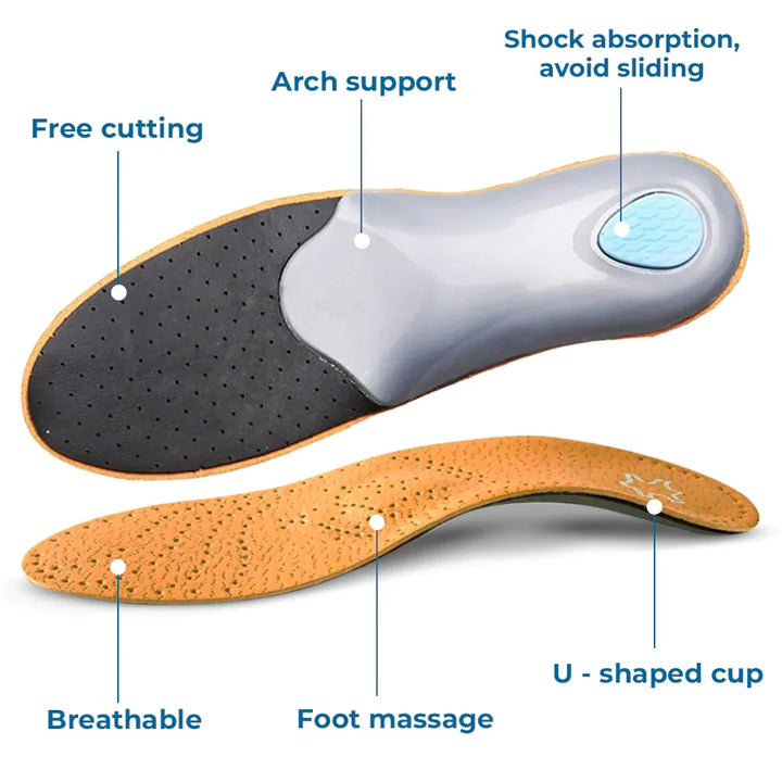 cid:41081494208735